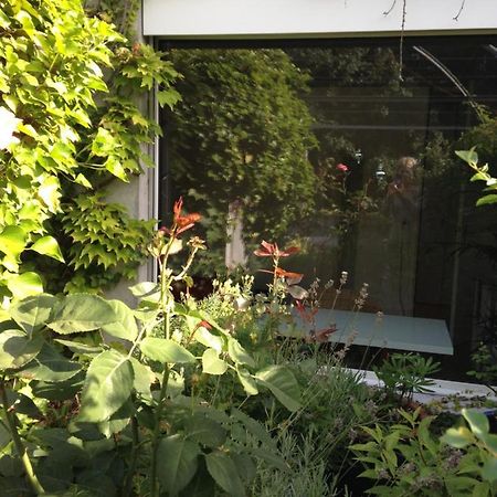 Gastezimmer Fischergarten Золотурн Екстер'єр фото