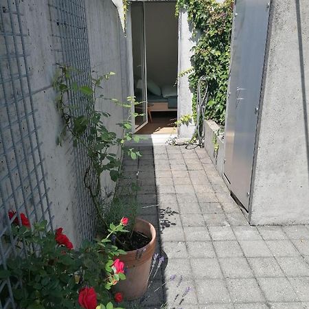 Gastezimmer Fischergarten Золотурн Екстер'єр фото