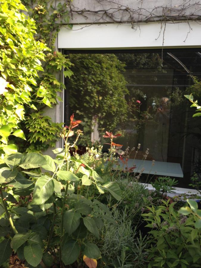 Gastezimmer Fischergarten Золотурн Екстер'єр фото