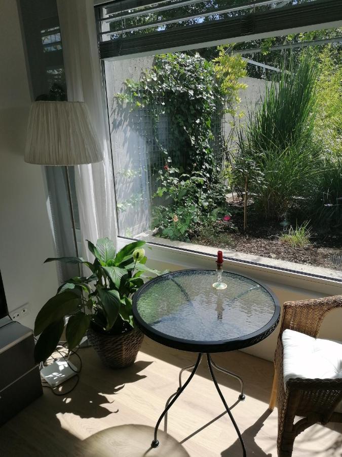 Gastezimmer Fischergarten Золотурн Екстер'єр фото